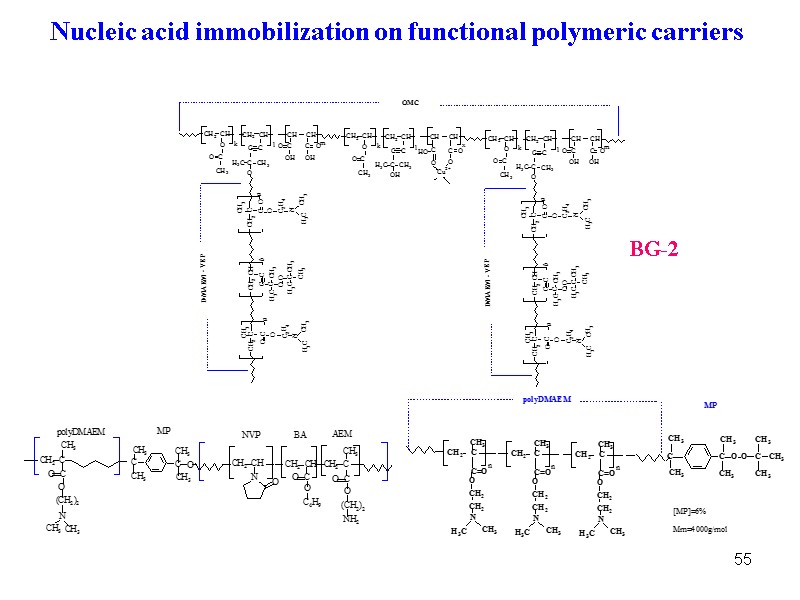 55 BG-2 Nucleic acid immobilization on functional polymeric carriers